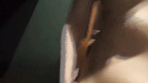 4722774 99% OFF!Secret sex with my new girlfriend in a nekafé! ****zynxzjo* I`m worried you`ve found out...