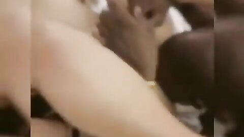 Asian BBC 13 (Monlingwu SWAG)