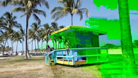 Vina Sky Great Day For A Stroll On South Beach With