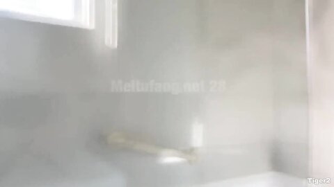 Taiwanese Prostitute 5113