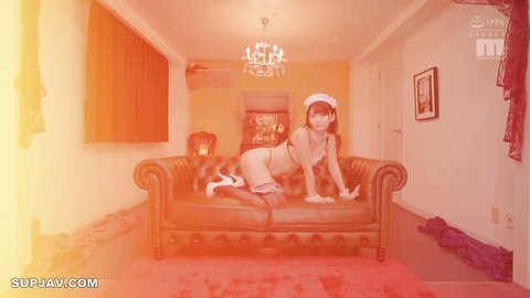 The maid takes cum in all her holes (MIAE-351)