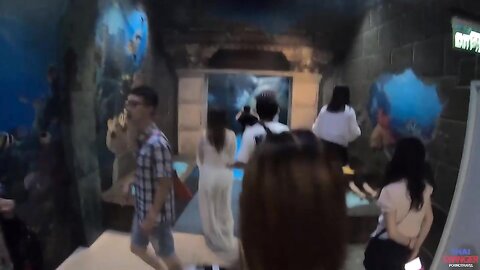 Pornotravel Monthly Ep 092  Art Museum  Wild Sex  08 12 25