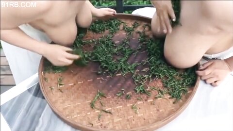 巨乳姐妹演绎传统乳茶之道 两对会喷奶的极品大白兔当作制茶工具实属茶中精品
