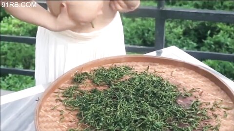 巨乳姐妹演绎传统乳茶之道 两对会喷奶的极品大白兔当作制茶工具实属茶中精品