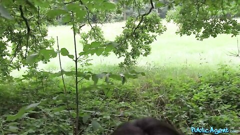 Lin Lee Asian Cutie Fucked By A Stranger
