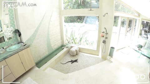 Kendra Spade Sneaky Stepdad Bangs Stepdaughter In The Shower