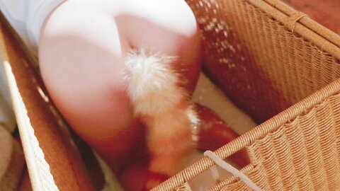 [Cosplay] 阿薰kaOri 黄豆粉 40猫 [212P3V-7.16GB]