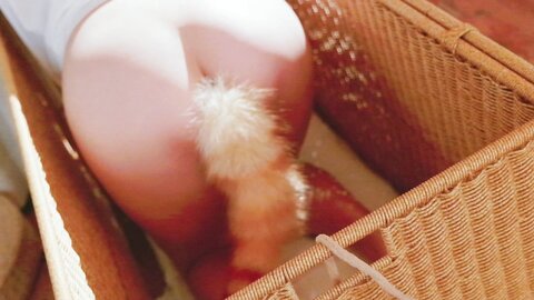 [Cosplay] 阿薰kaOri 黄豆粉 40猫 [212P3V-7.16GB]