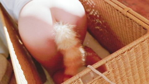 [Cosplay] 阿薰kaOri 黄豆粉 40猫 [212P3V-7.16GB]
