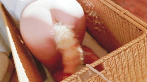 [Cosplay] 阿薰kaOri 黄豆粉 40猫 [212P3V-7.16GB]