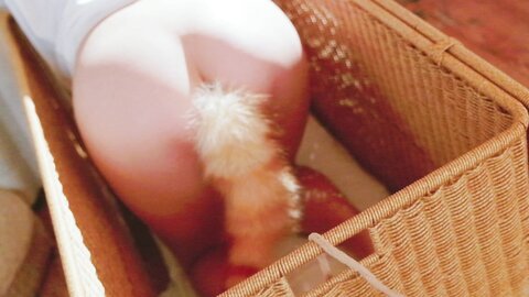 [Cosplay] 阿薰kaOri 黄豆粉 40猫 [212P3V-7.16GB]