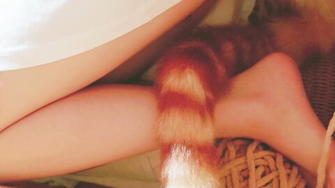 [Cosplay] 阿薰kaOri 黄豆粉 40猫 [212P3V-7.16GB] (2)