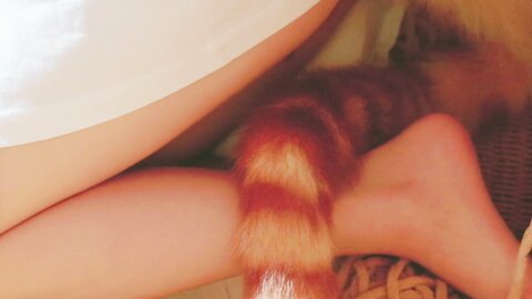 [Cosplay] 阿薰kaOri 黄豆粉 40猫 [212P3V-7.16GB] (2)
