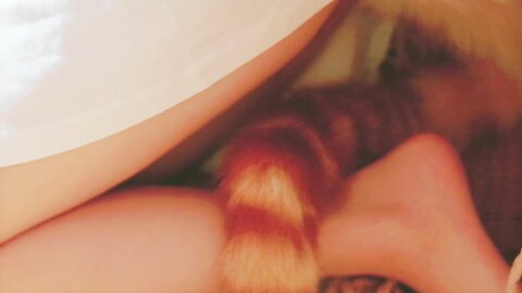 [Cosplay] 阿薰kaOri 黄豆粉 40猫 [212P3V-7.16GB] (2)