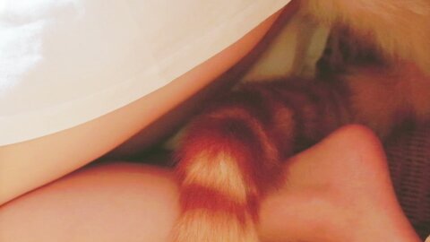 [Cosplay] 阿薰kaOri 黄豆粉 40猫 [212P3V-7.16GB] (2)