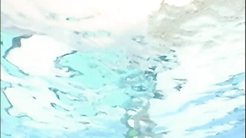 BIBE-1331