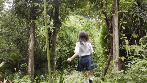 HAHOB-001 ADOLESCENT TEEN'S MEMORY
