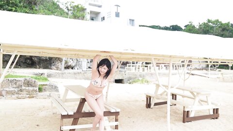 週プレ 2024年8月5日号No 32 特別付録DVD - 桃月なしこ