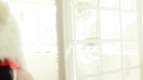 Momo Rina モモリナ - 2024年11-12月 [172P11V-3G] (11)